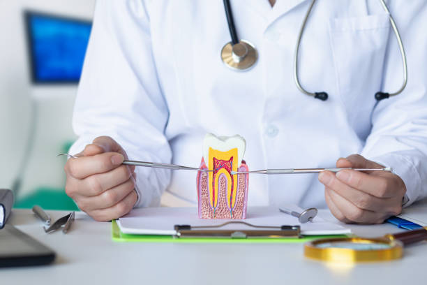 Best Emergency Dentist for Lost Fillings or Crowns in Daniel, UT